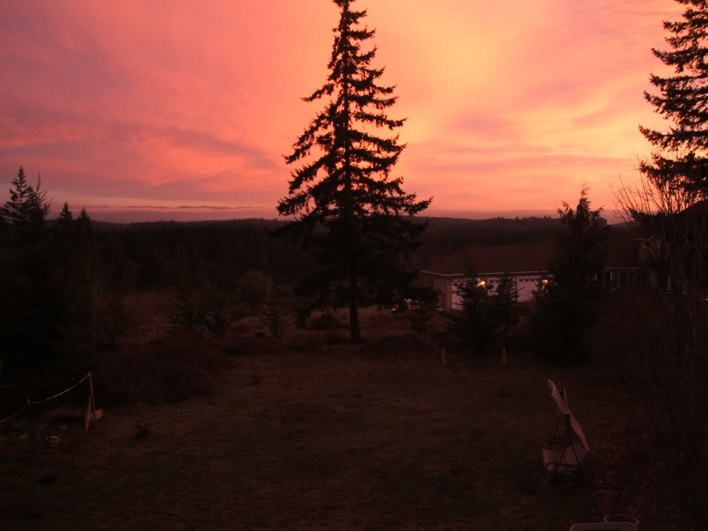 Name:  DSCF3046.jpg
Views: 2565
Size:  76.5 KB