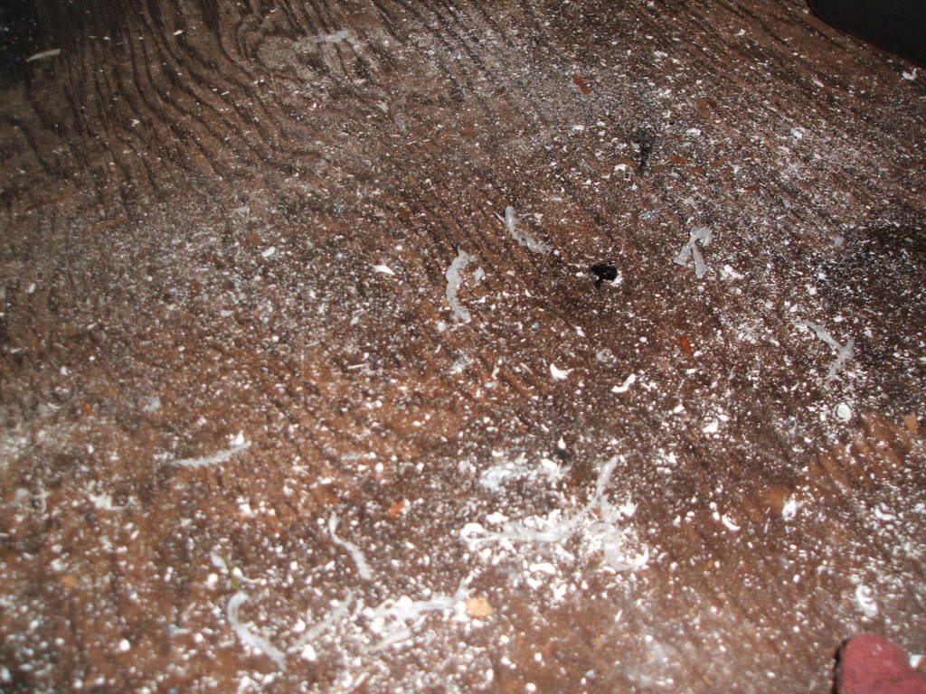 Name:  DSCF3041.jpg
Views: 2767
Size:  179.3 KB