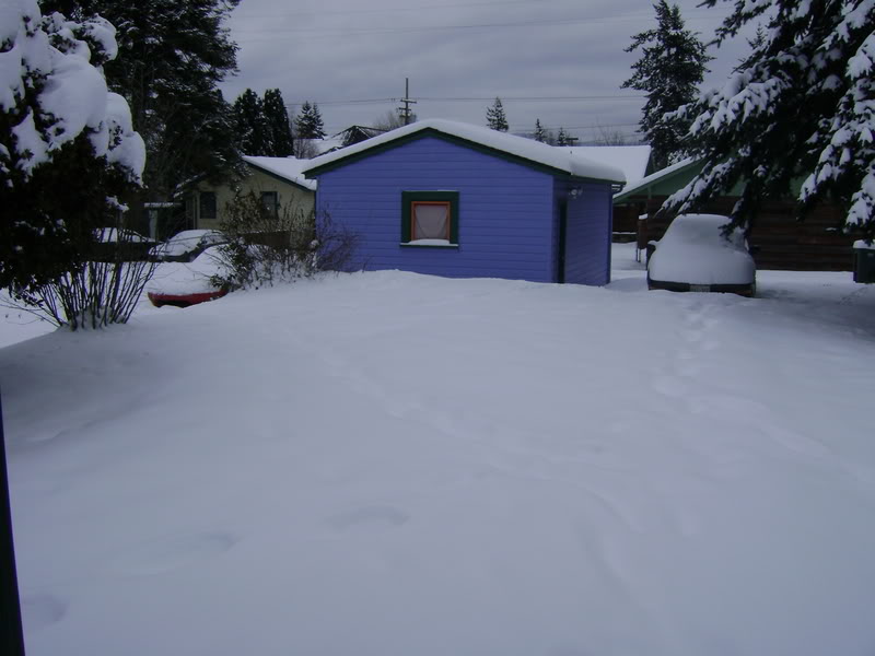 Name:  DSC00761.jpg
Views: 80
Size:  74.5 KB