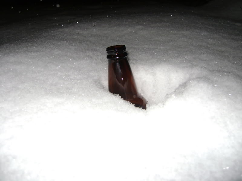 Name:  DSC00752.jpg
Views: 99
Size:  50.8 KB