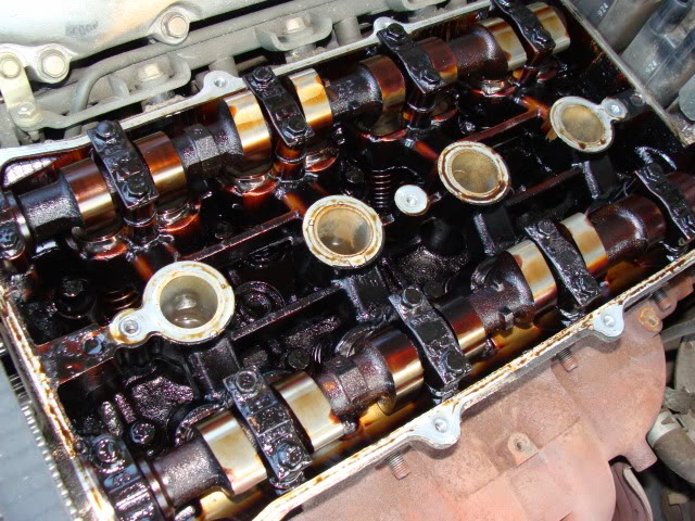 Name:  DSC02754.jpg
Views: 91
Size:  113.1 KB