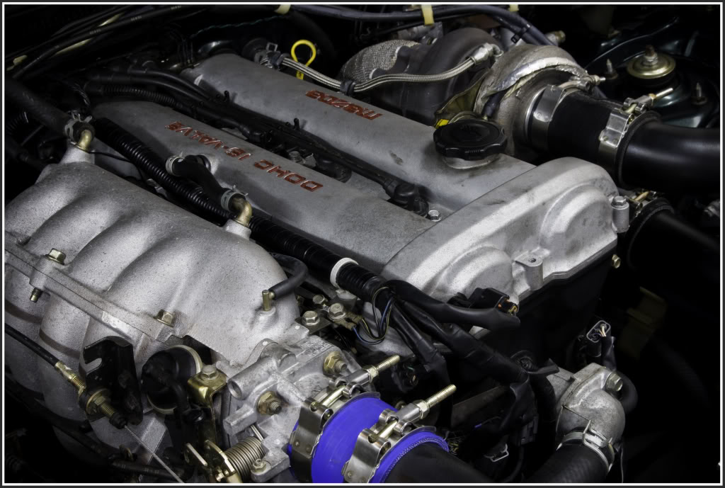 Name:  DSC_1462-Edit.jpg
Views: 658
Size:  126.4 KB