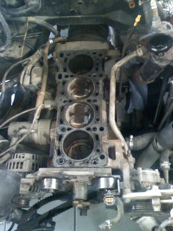 Name:  DC081125001.jpg
Views: 82
Size:  77.2 KB