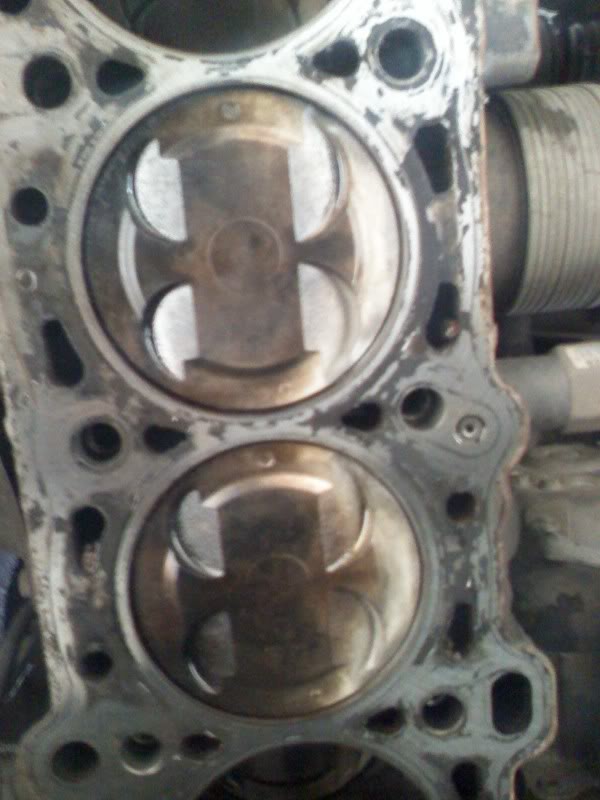 Name:  DC081125002.jpg
Views: 99
Size:  56.2 KB