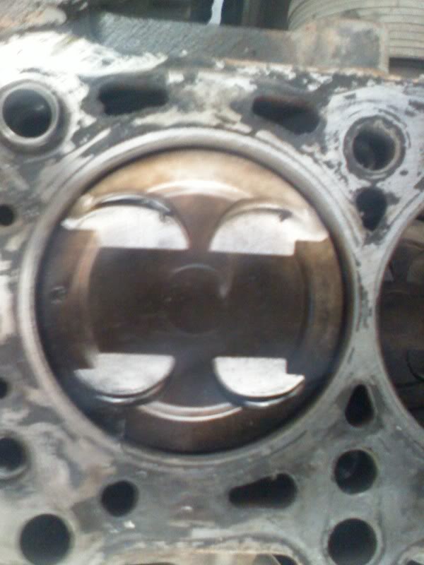 Name:  DC081125003.jpg
Views: 81
Size:  50.9 KB