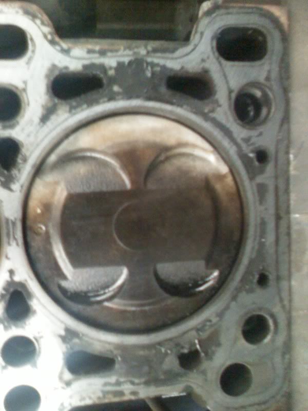 Name:  DC081125004.jpg
Views: 74
Size:  50.6 KB