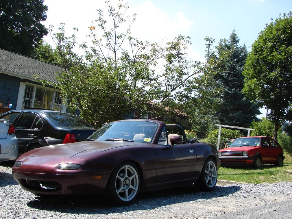 Name:  DSC05149.jpg
Views: 74
Size:  184.8 KB