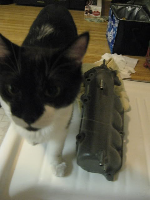 Name:  IMG_1313.jpg
Views: 526
Size:  35.6 KB