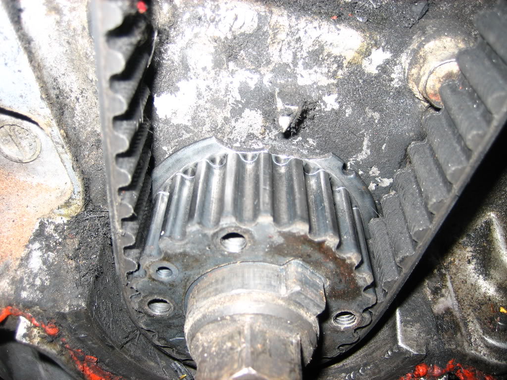 Name:  IMG_7921.jpg
Views: 105
Size:  224.6 KB