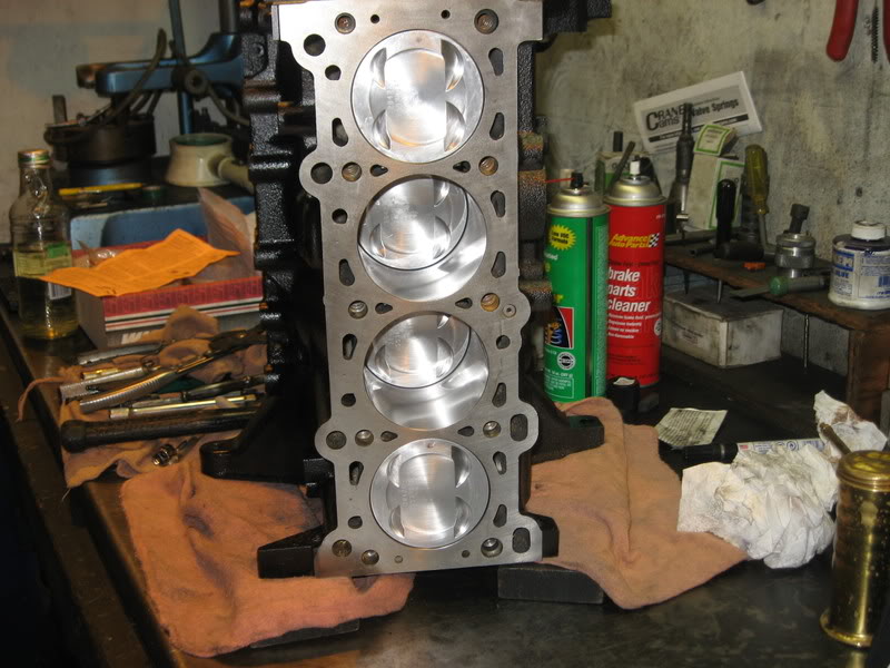 Name:  IMG_0327.jpg
Views: 2277
Size:  92.9 KB