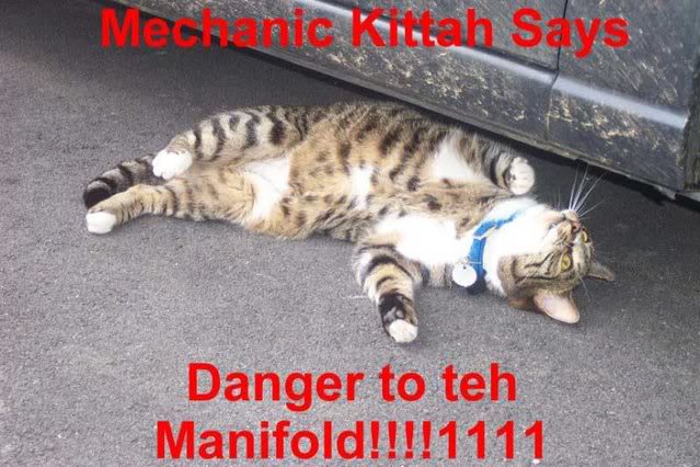 Name:  mechanic.jpg
Views: 101
Size:  65.8 KB