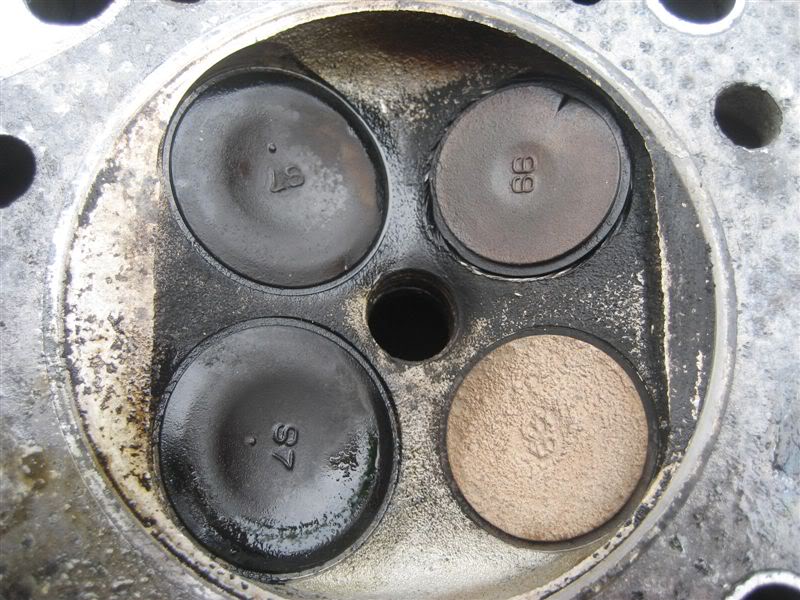 Name:  IMG_7083.jpg
Views: 130
Size:  107.7 KB