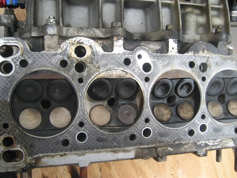 Name:  IMG_7082.jpg
Views: 146
Size:  94.4 KB