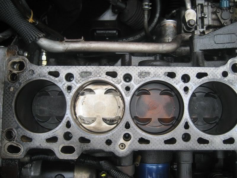 Name:  IMG_7087.jpg
Views: 123
Size:  77.8 KB