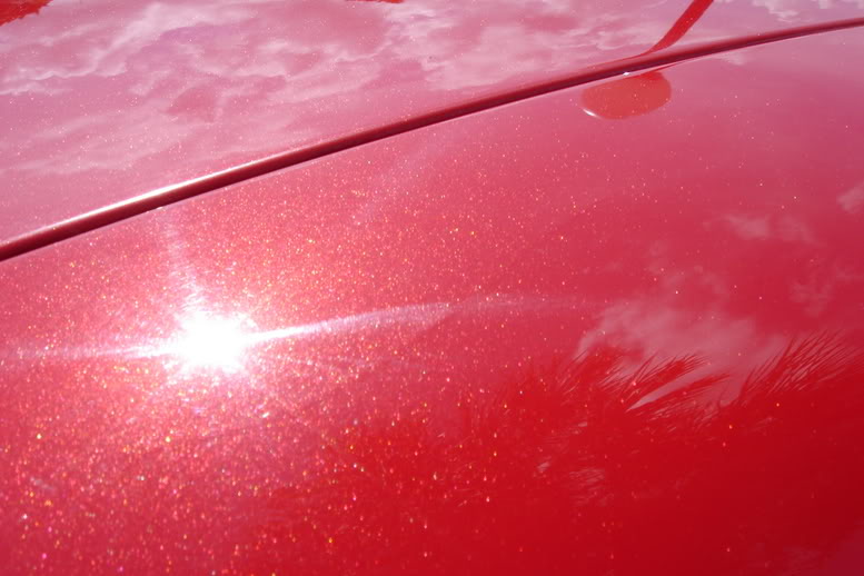 Name:  Copyofcarpics022.jpg
Views: 518
Size:  60.5 KB