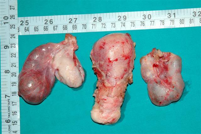 Name:  tubo-1.jpg
Views: 222
Size:  42.9 KB