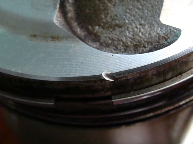 Name:  DSC01923.jpg
Views: 103
Size:  41.9 KB