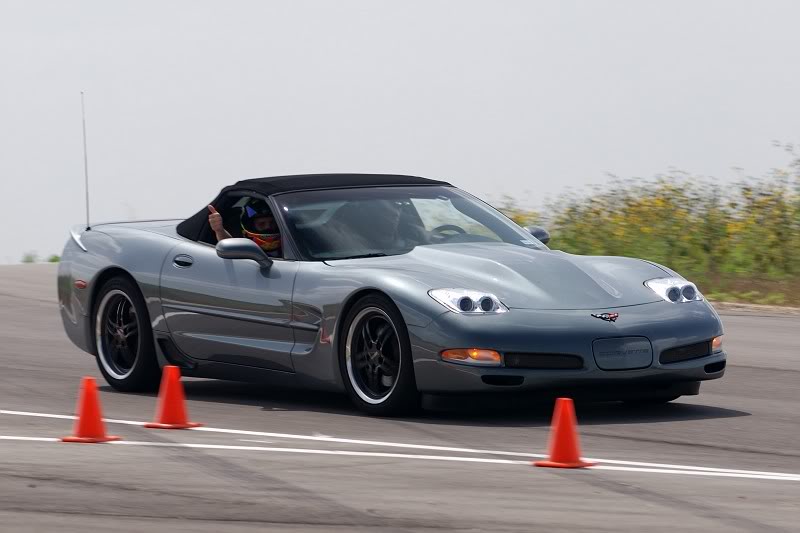 Name:  DSC_3519-vi.jpg
Views: 132
Size:  47.0 KB