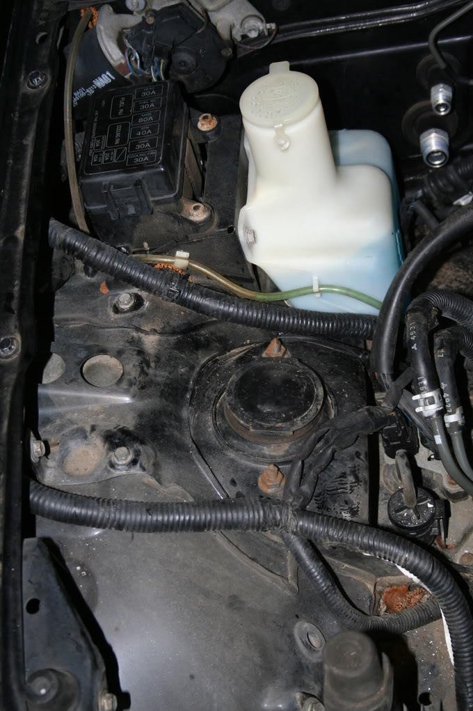 Name:  IMG_3375.jpg
Views: 111
Size:  125.6 KB