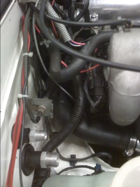 Name:  backveiw.jpg
Views: 398
Size:  35.2 KB