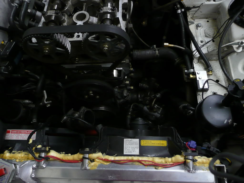 Name:  P1010051.jpg
Views: 400
Size:  100.3 KB