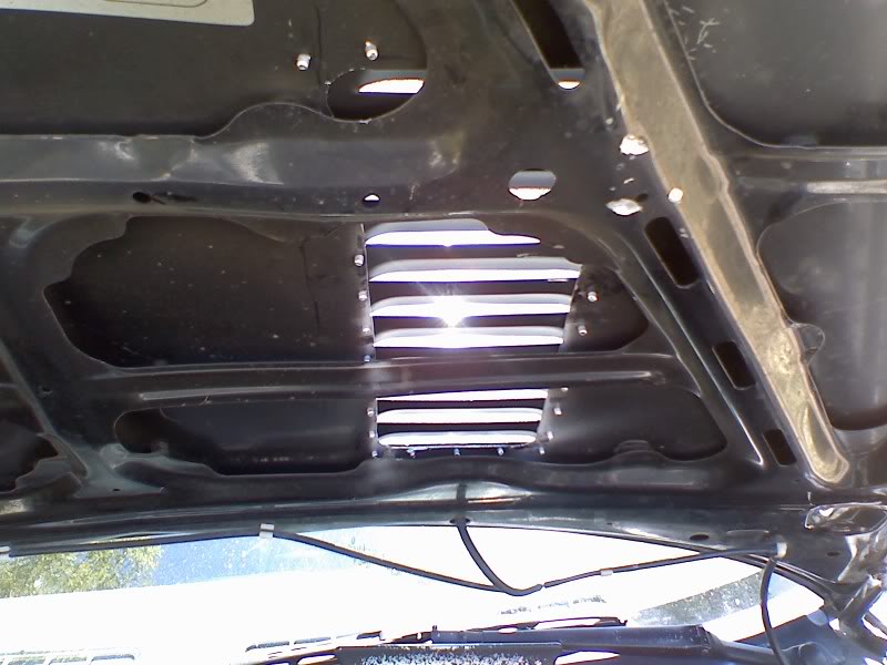 Name:  0530081140.jpg
Views: 635
Size:  68.7 KB