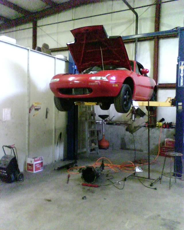 Name:  IMG00616.jpg
Views: 98
Size:  100.3 KB