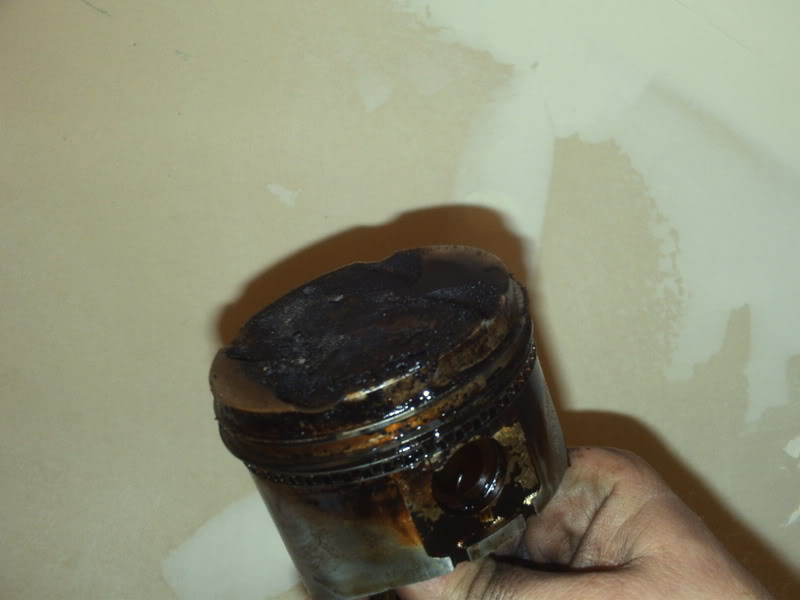 Name:  PICT0214.jpg
Views: 215
Size:  35.1 KB