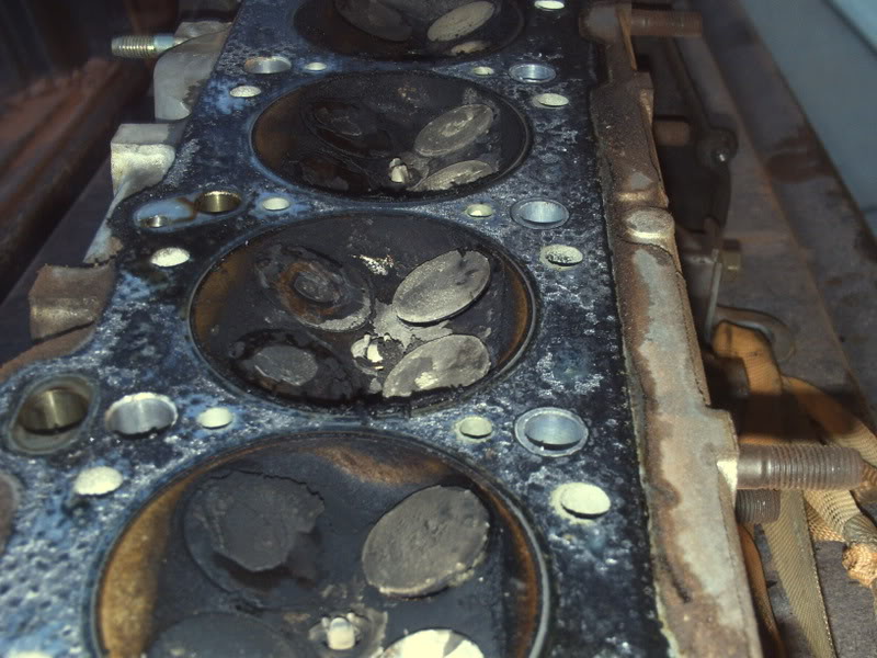 Name:  PICT0211.jpg
Views: 239
Size:  95.3 KB