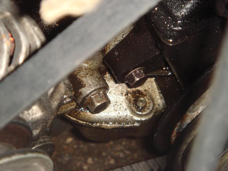 Name:  DSC00893.jpg
Views: 108
Size:  51.1 KB