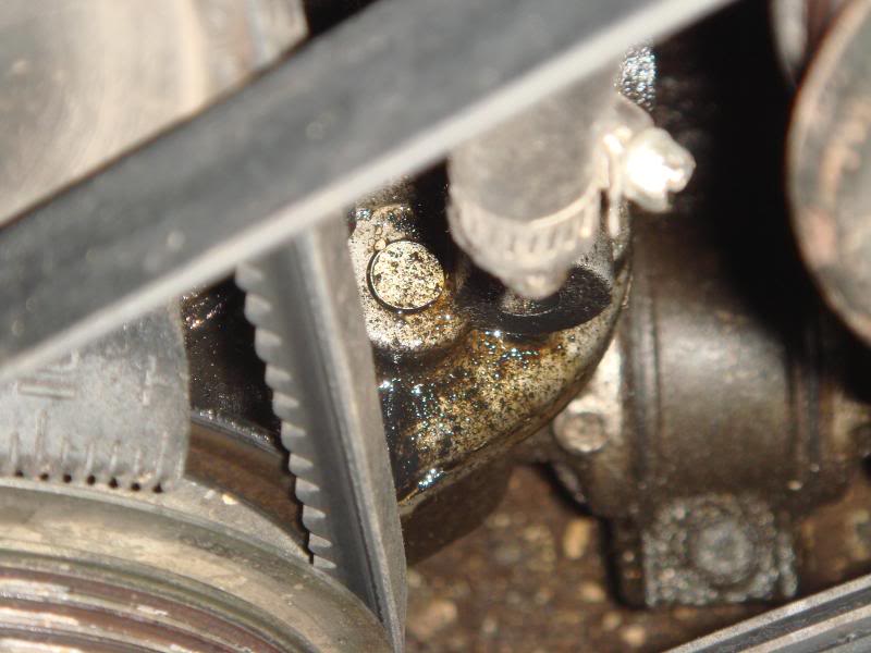 Name:  DSC00894.jpg
Views: 92
Size:  53.6 KB