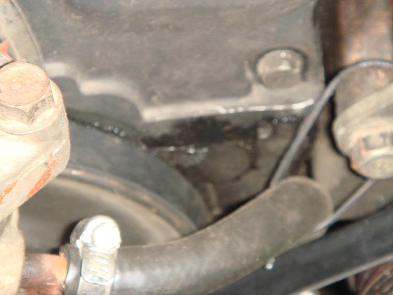 Name:  DSC00897.jpg
Views: 118
Size:  36.0 KB