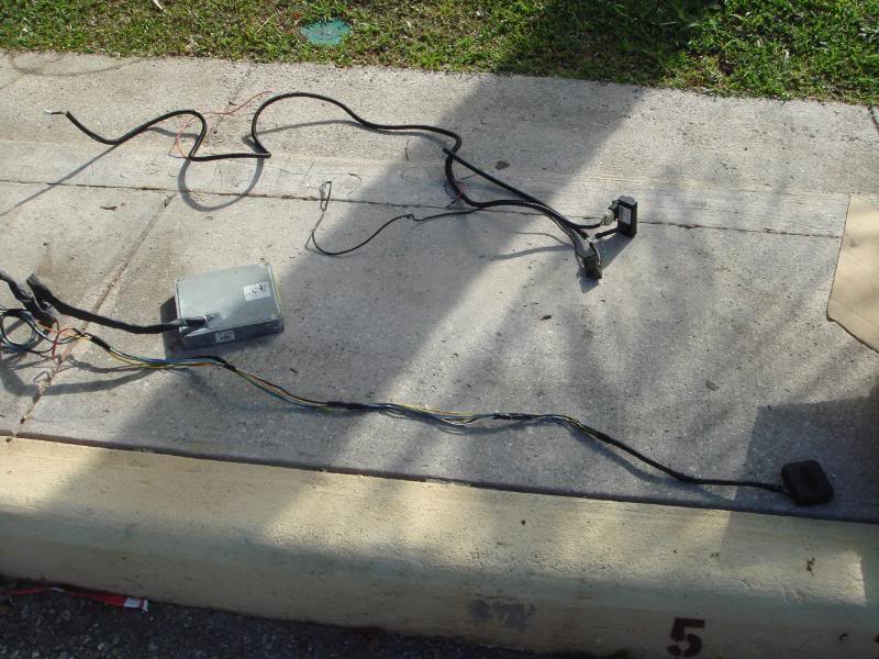 Name:  DSC00885.jpg
Views: 87
Size:  86.8 KB