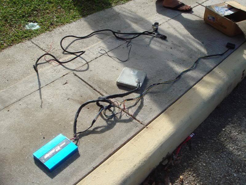 Name:  DSC00886.jpg
Views: 60
Size:  92.3 KB