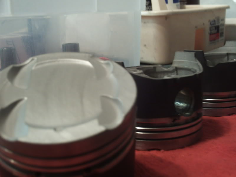 Name:  PICT0256.jpg
Views: 343
Size:  32.1 KB