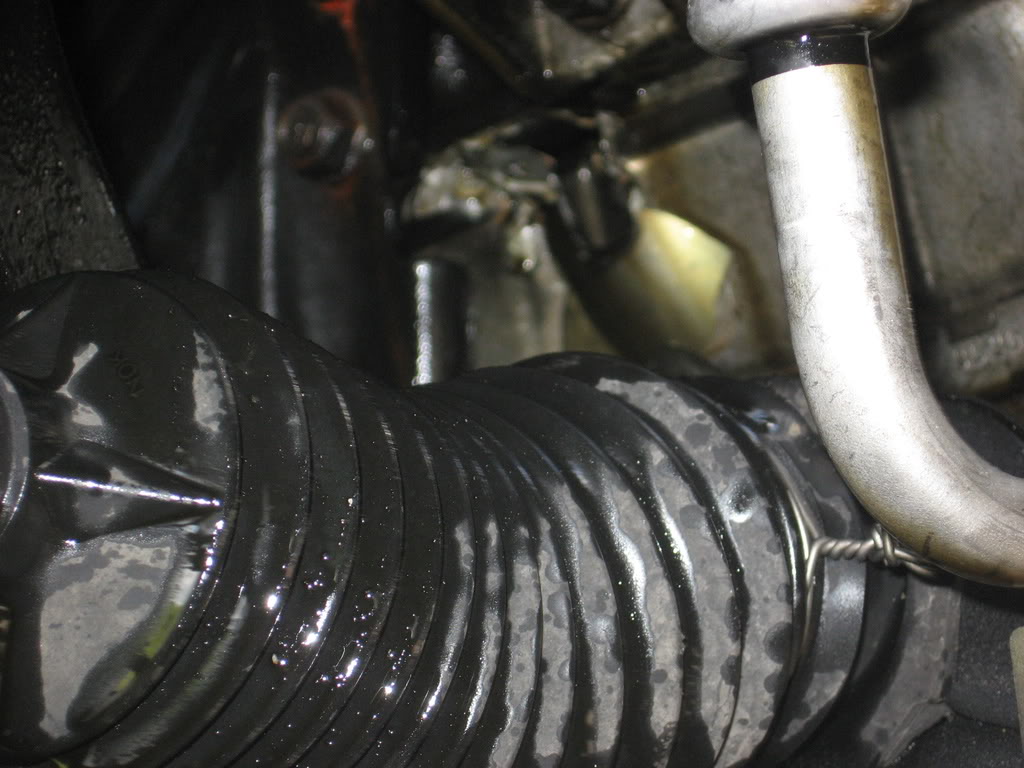 Name:  IMG_3995.jpg
Views: 103
Size:  109.1 KB