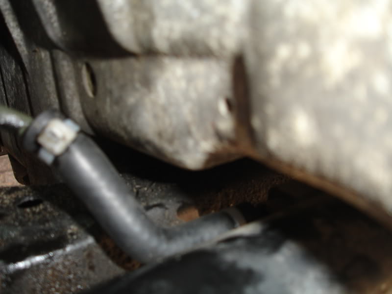 Name:  DSC00926.jpg
Views: 186
Size:  36.7 KB