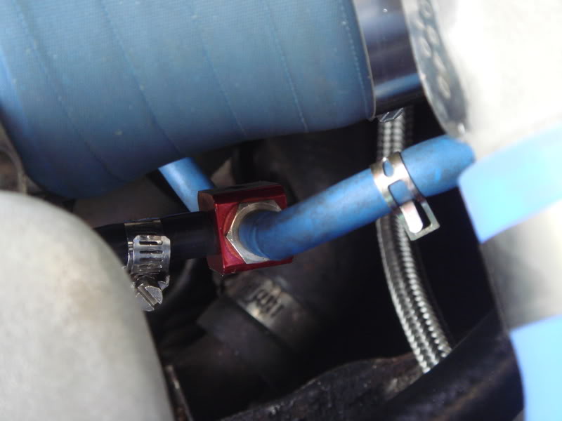 Name:  DSC00718.jpg
Views: 126
Size:  39.1 KB