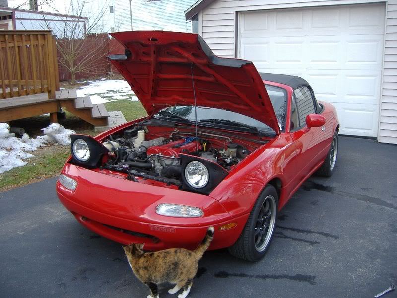 Name:  DSCF3165.jpg
Views: 102
Size:  89.7 KB