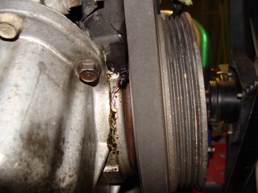 Name:  DSC00915.jpg
Views: 50
Size:  131.6 KB