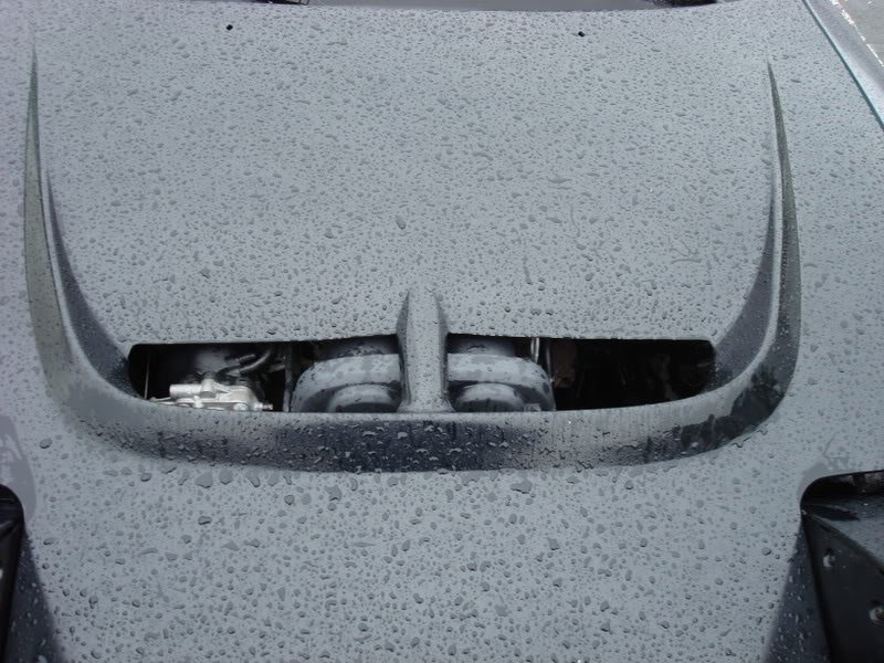 Name:  Picture084.jpg
Views: 155
Size:  120.9 KB