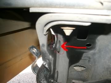 Name:  Sheared1.jpg
Views: 68
Size:  14.1 KB