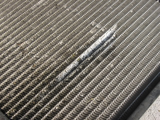 Name:  IMG_0242.jpg
Views: 115
Size:  150.1 KB