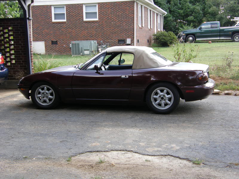 Name:  P8100001.jpg
Views: 69
Size:  93.2 KB