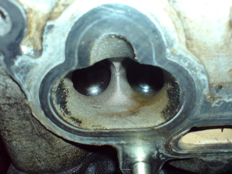 Name:  DSC00182.jpg
Views: 57
Size:  72.7 KB