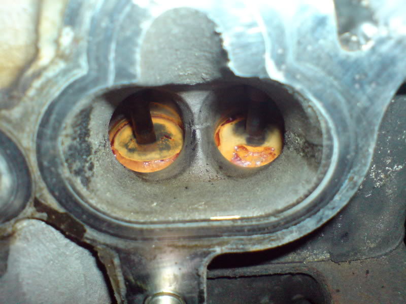 Name:  DSC00183.jpg
Views: 77
Size:  66.6 KB