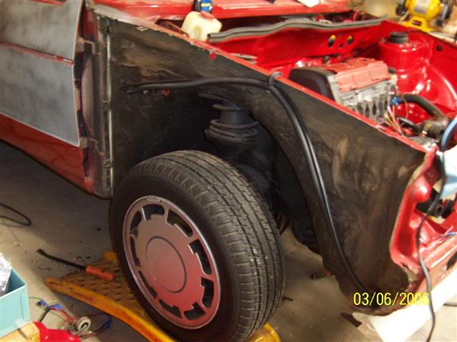 Name:  bunny005.jpg
Views: 931
Size:  46.1 KB