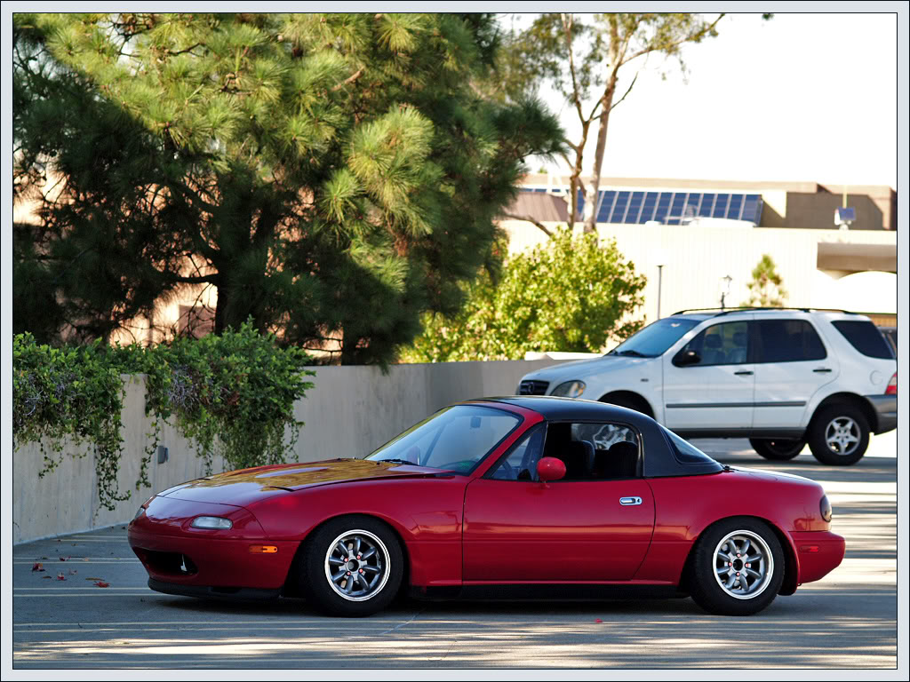 Name:  P1015350.jpg
Views: 716
Size:  193.7 KB