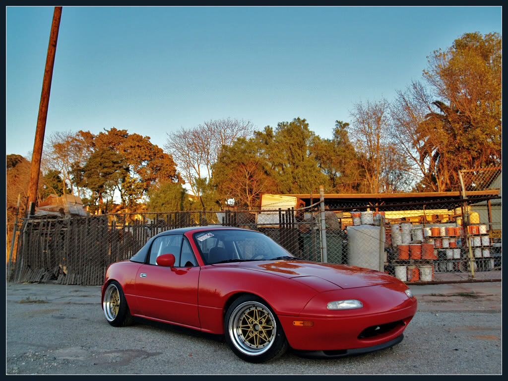 Name:  P1015631.jpg
Views: 639
Size:  206.7 KB