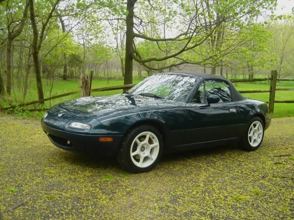 Name:  DSC03057copysmall.jpg
Views: 120
Size:  87.7 KB